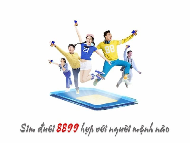 Tùy vào phong thủy sẽ có các mệnh hợp với dòng sim nàu