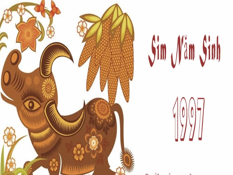 Sim đuôi 1997 là dòng sim dành cho người sinh năm Đinh Sửu