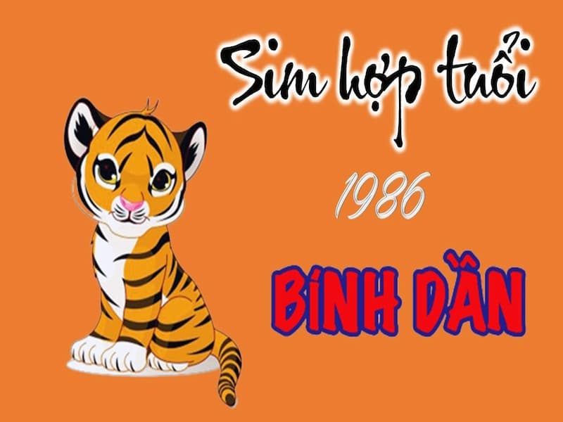 khi mua sim 1986 bạn cũng nên cẩn thận lựa chọn