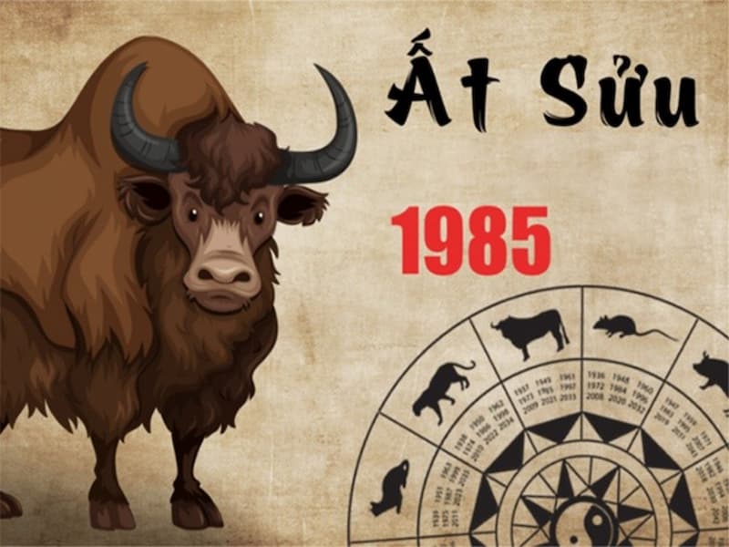  SIm năm sinh 1985 cho tuổi Ất Sửu