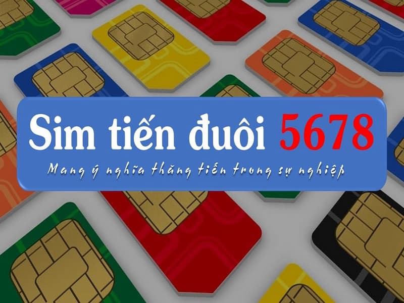 Chủ thuê bao đuôi 5678 sẽ sẽ có cuộc sống ấm no và hạnh phúc