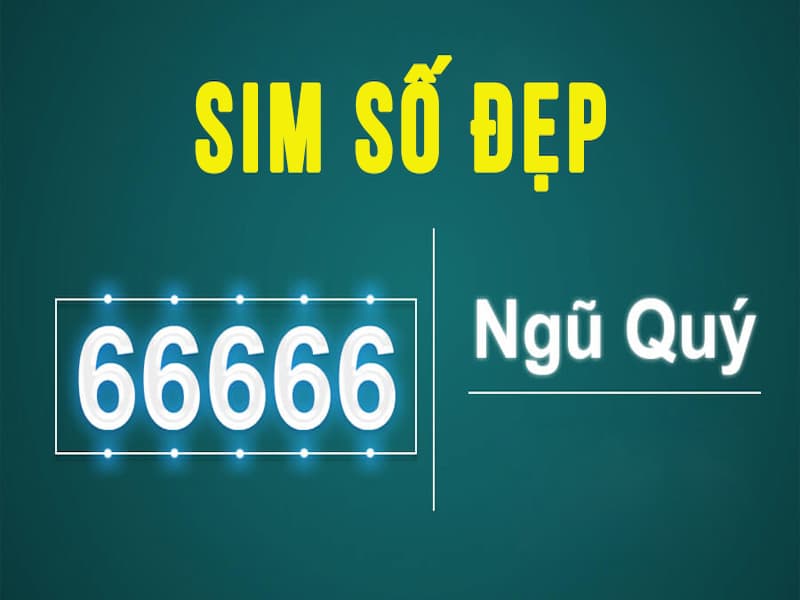 SIm ngũ quý 6 được tạo thành từ 5 con số 6