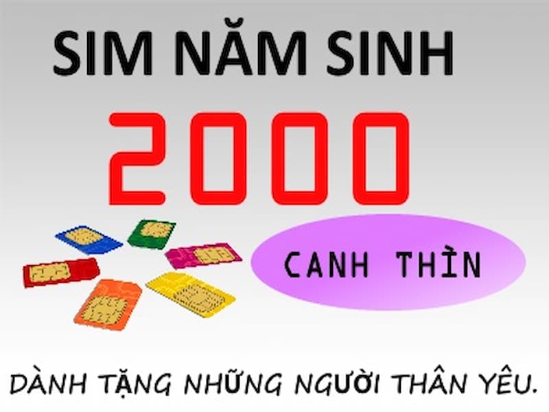 Sim đẹp không chỉ về hình thức mà còn về lợi ích và ý nghĩa nó đem đến