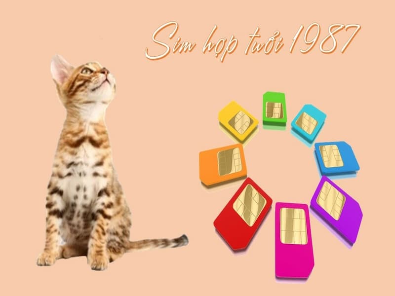 chọn sim năm sinh 1987 ở dạng đầy đủ nhất