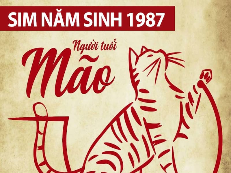 Sim năm sinh 1987 giúp cho người đinh Mão có cuộc sống tốt hơn