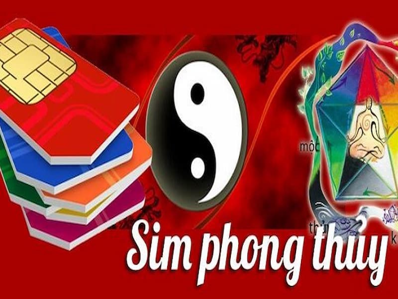 Thông tin về dòng sim phong thủy nói chung