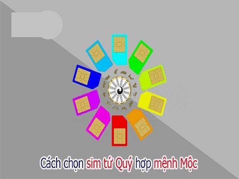 Sim tứ quý 4 hợp với người mệnh Mộc, mệnh Hỏa.
