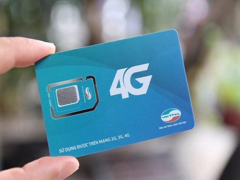  Sim tứ quý tạo nên vẻ đẹp sang trọng và đẳng cấp cho chủ nhân