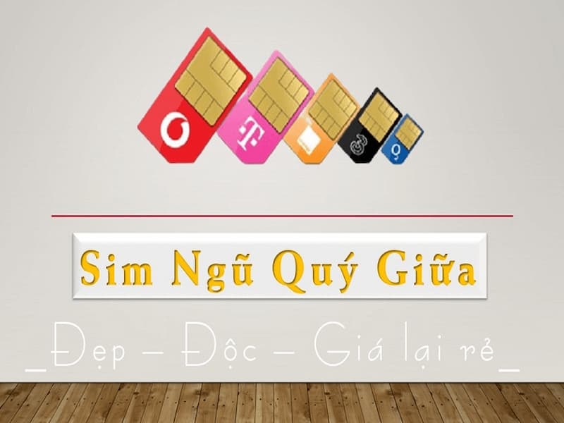 Sim ngũ quý giữa đẹp và đẳng cấp
