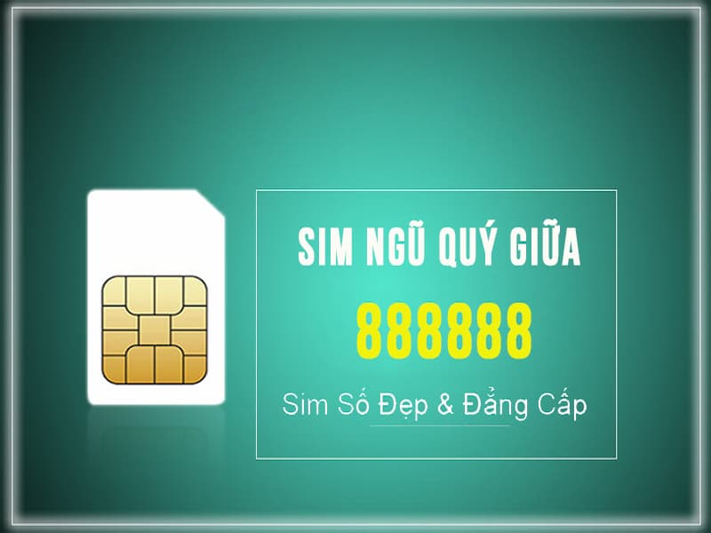Sim ngũ quý giữa 8