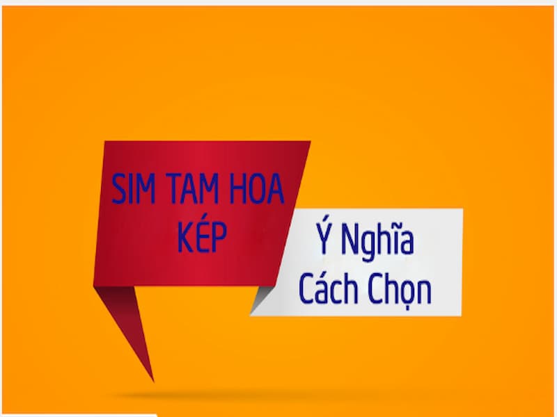 người sử dụng số thuê bao tam hoa kép luôn thể hiện vẻ đẹp đẳng cấp