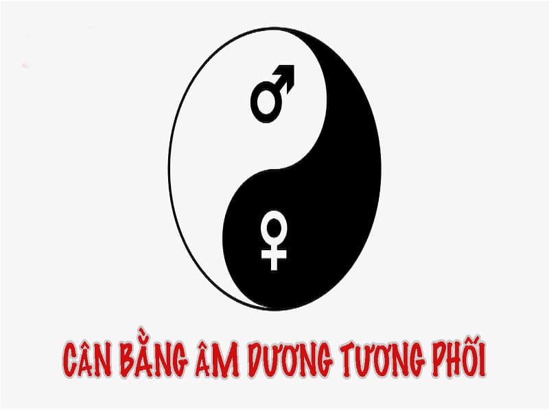 Dùng sim đuôi 1993 mang đến sự cân bằng âm dương cho chủ nhân 