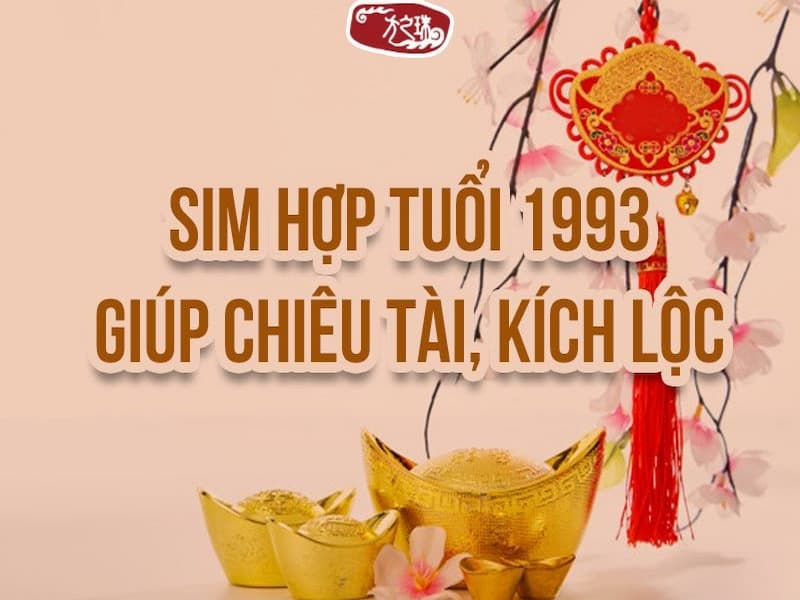  Sim 1993 sẽ mang lại nhiều thuận lợi và suôn sẻ trong công việc
