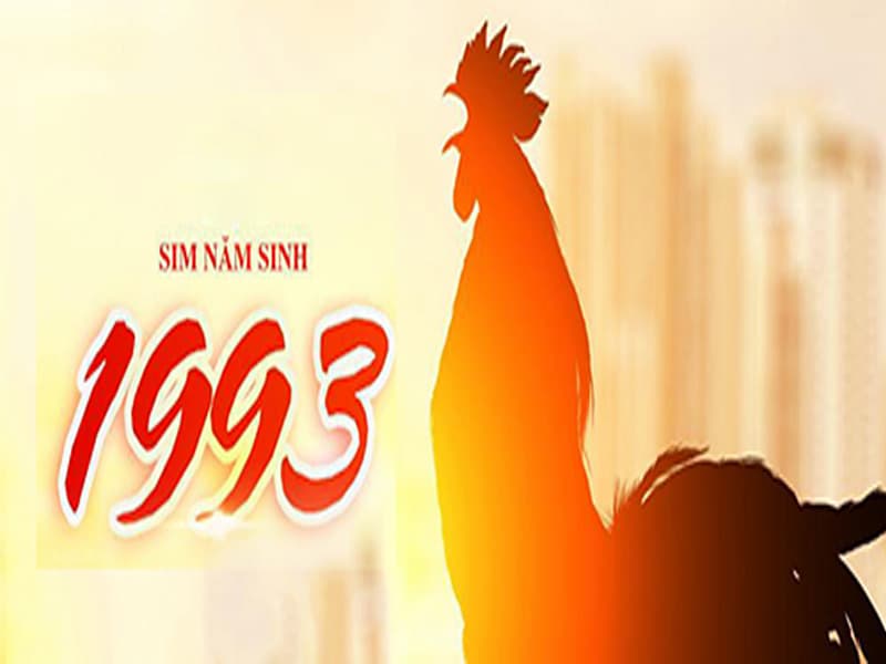  Khái niệm cơ bản nhất về sim năm sinh 1993