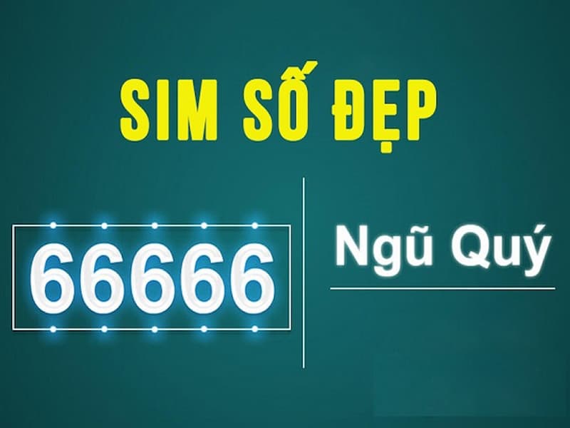 Ý nghĩa của sim cho chủ nhân của nó là gì?