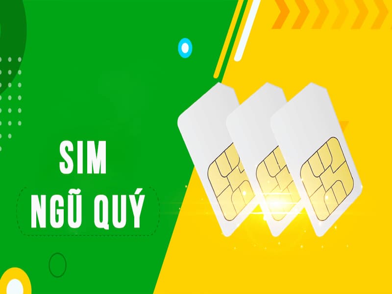 Khái niệm về sim ngũ quý 66666