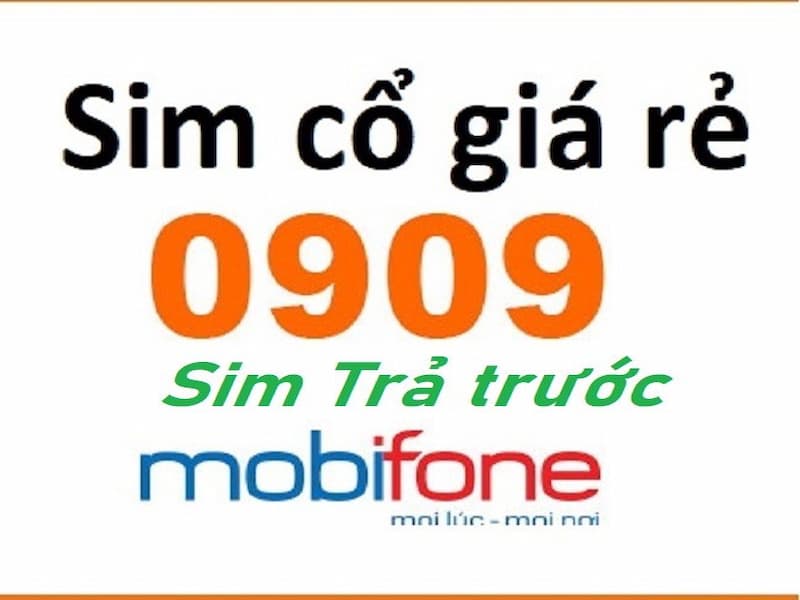Chú ý sự cân bằng