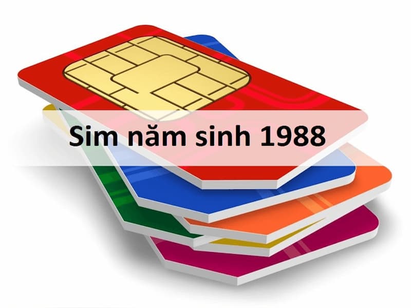 Sim năm sinh 1988 là sim gì?