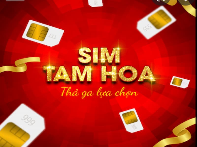  SIm tam hoa là dòng sim gì?