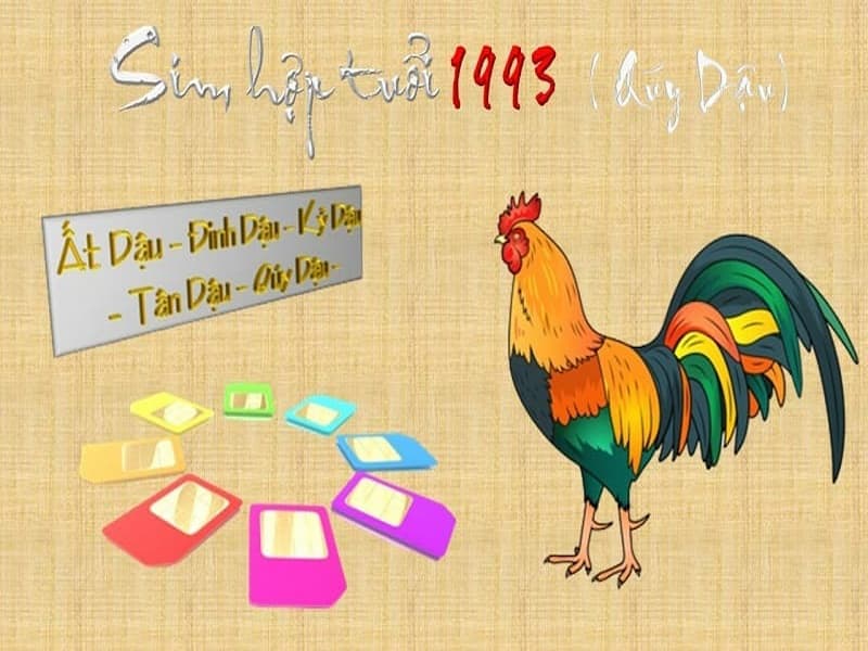 Bộ số 19 và 93 ghép lại thành dãy 1993 cực đẹp