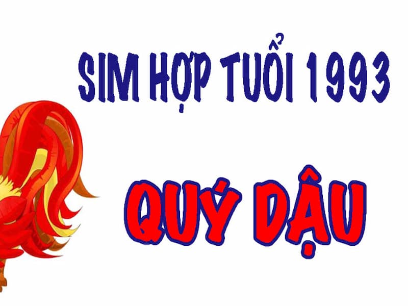  Sim Đuôi 1993 được chia thành 4 loại