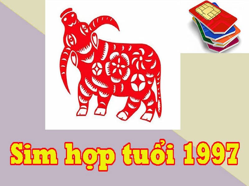 Đặt làm sim theo yêu cầu cũng là phương án mua sim thông minh