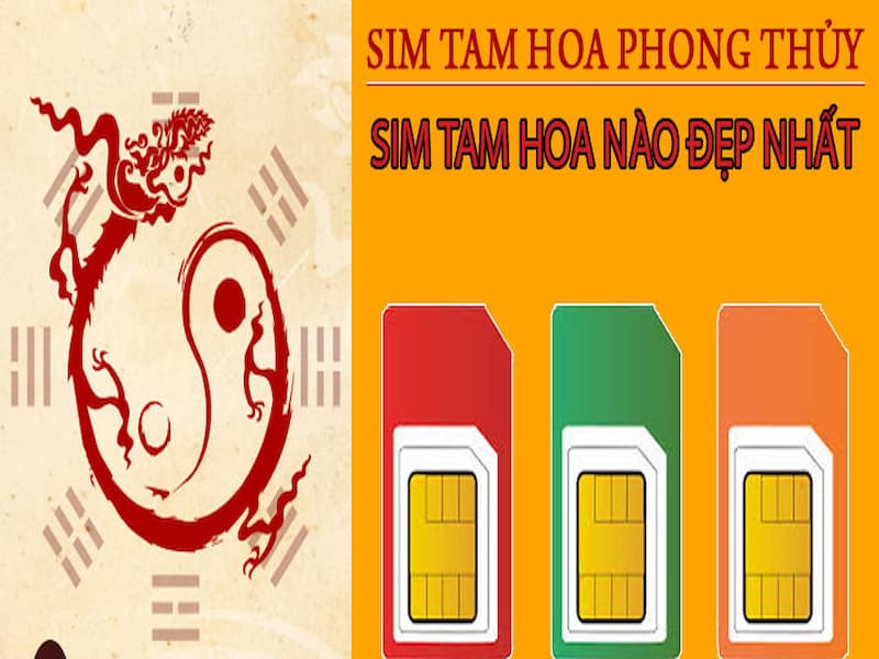 Sim tam hoa 666 là loại sim gì?