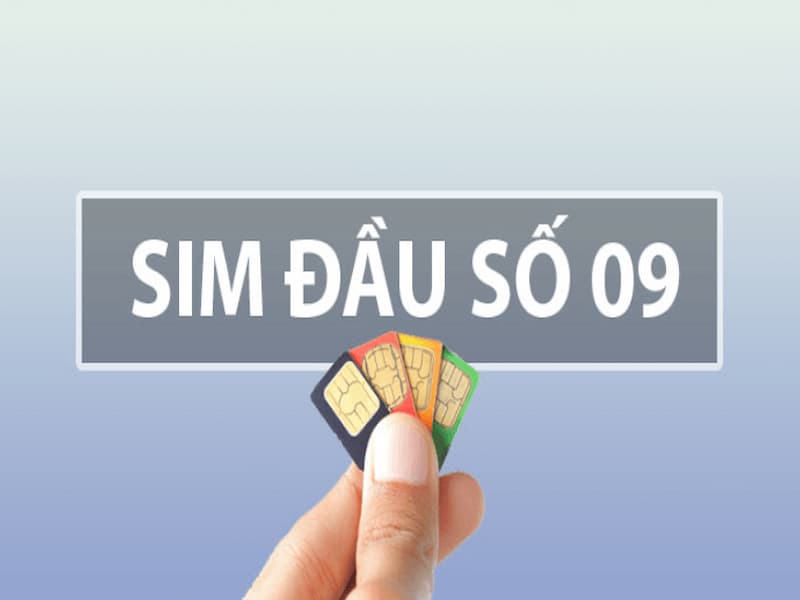 Đầu số 09 của mạng vinaphone luôn mang đến những thành công