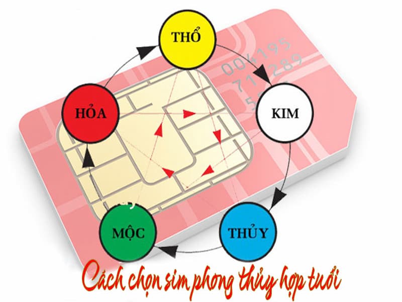 Sim ngũ 9 hợp với tuổi nào?