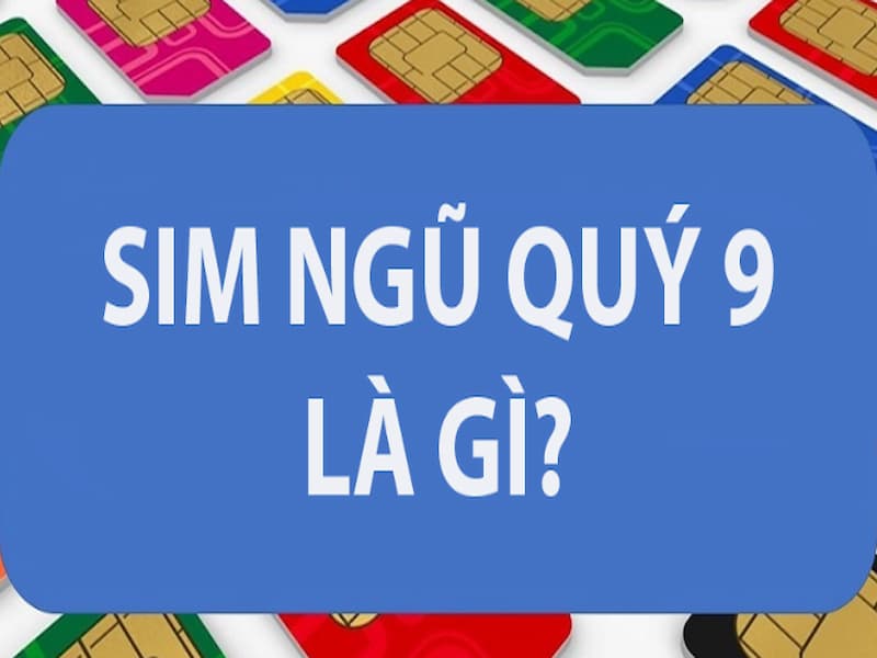 Sim ngũ 9 là gì? 