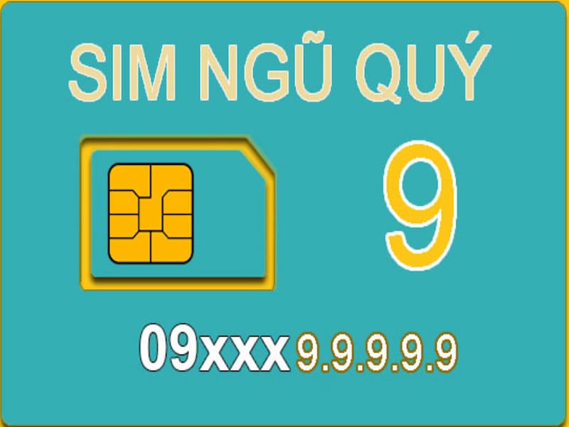 Sim ngũ quý 9 là gì?