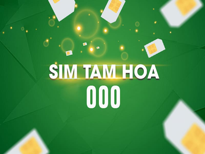 Thông tin chi tiết về khái niệm sim tam hoa 0