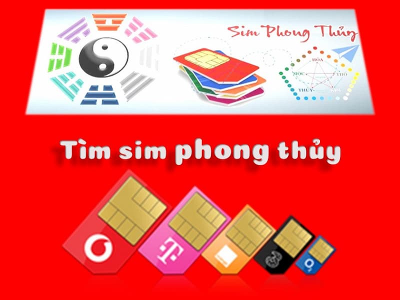 Ý nghĩa của sim năm sinh 1900