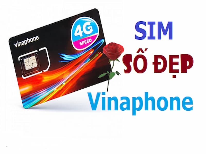  Nhà mạng Vina có tất cả 8 đầu số khác nhau