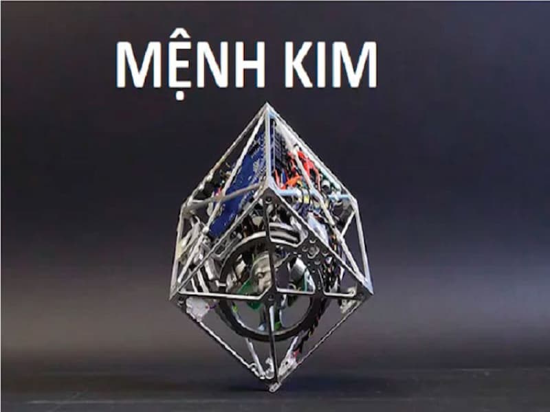 Sim đuôi 2828 hợp với người mệnh Kim