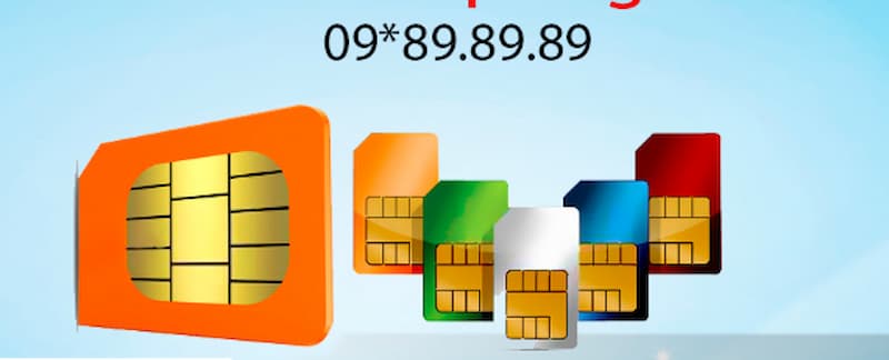 Phân loại sim lặp kép - Sim Hay