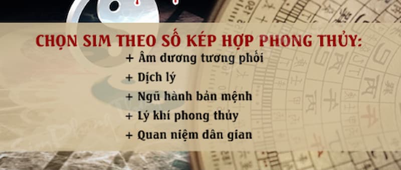 Cách chọn sim lặp kép hợp với người dùng