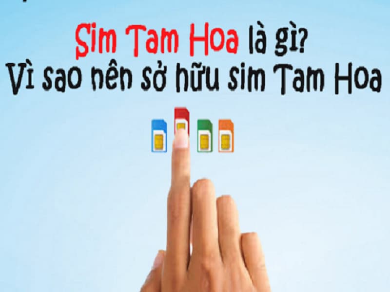 Dòng sim này sẽ đem đến những ý nghĩa gì