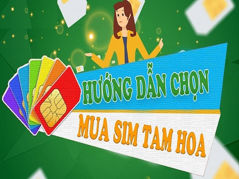 Để chọn được số thuê bao đẹp cũng cần dựa vào nhiều tiêu chí