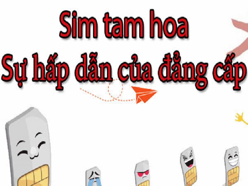 Chọn sim phù hợp với tuổi để phát huy hết tác dụng của nó