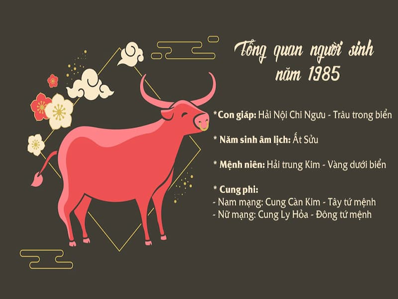 Đôi nét về người sinh năm Ất Sửu 1985