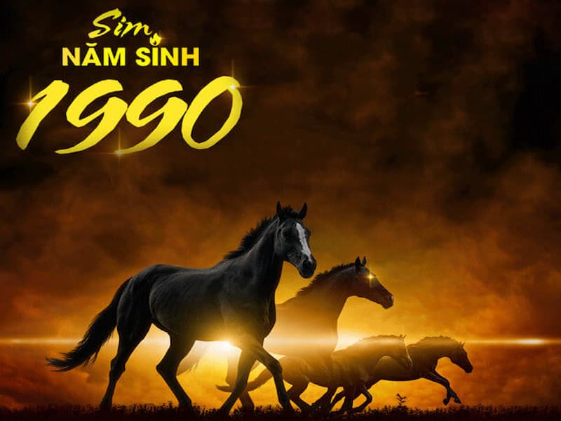 Tổng quan về sim năm sinh 1990