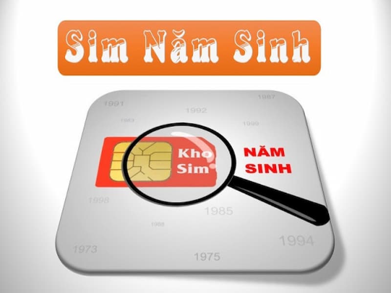 Tại sao người tuổi Quý Dậu nên sử dụng sim năm sinh 1993?