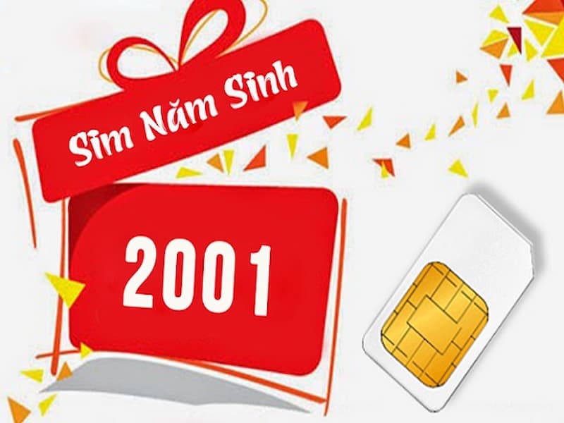 Mô phỏng về sim năm sinh 2001
