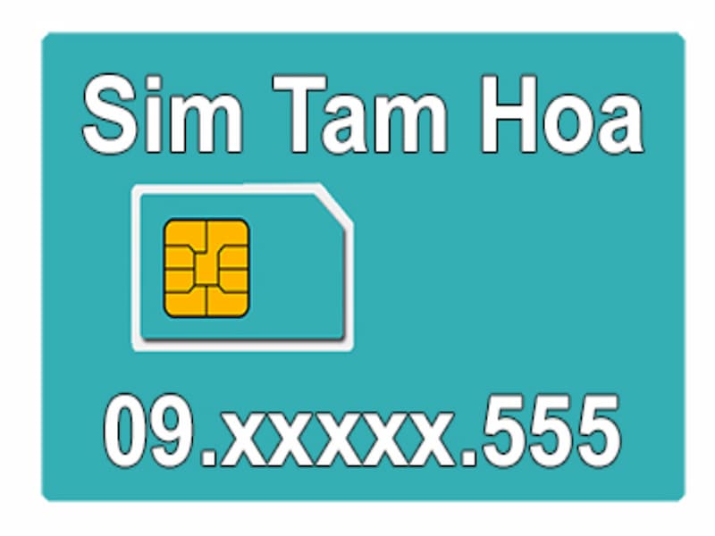 Sim tam hoa 555 là gì?