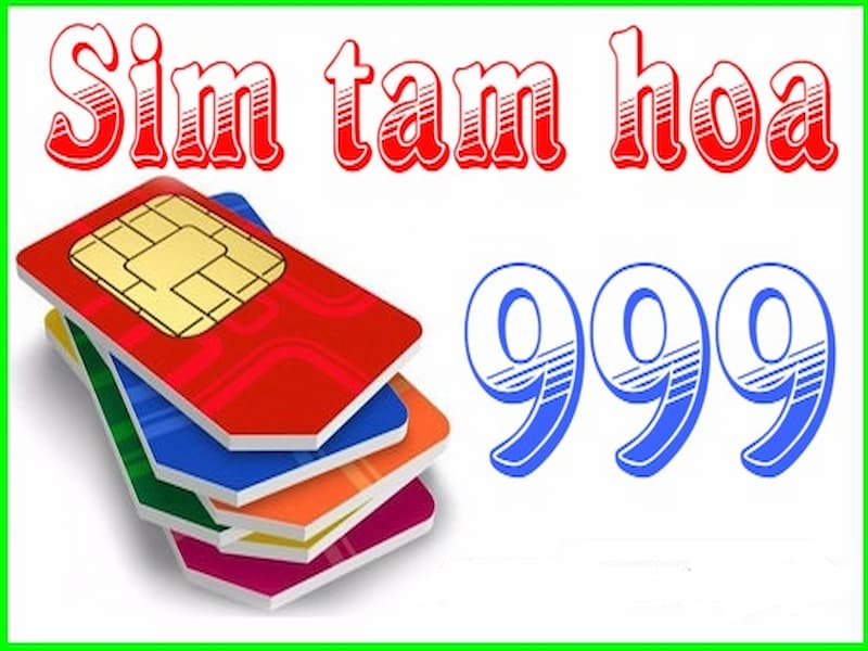 ý nghĩa của sim theo như văn hóa Phương Đông