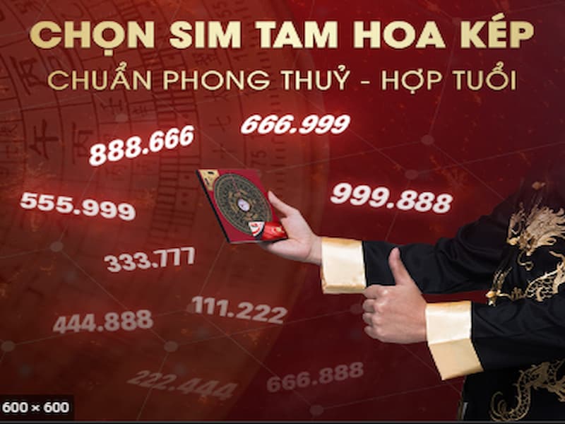 SIm tam hoa đẹp là dòng sim số đẹp và dễ nhớ