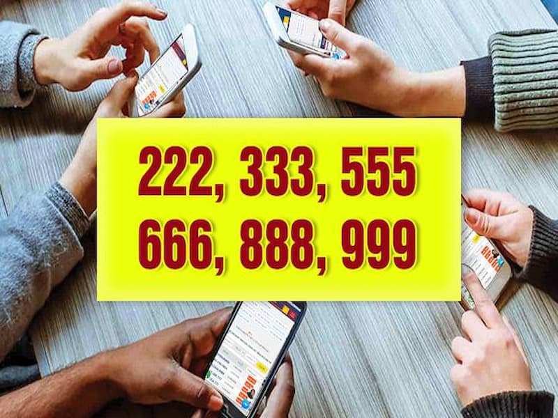 Sim hoa là là bài hộ mệnh cho chủ nhân