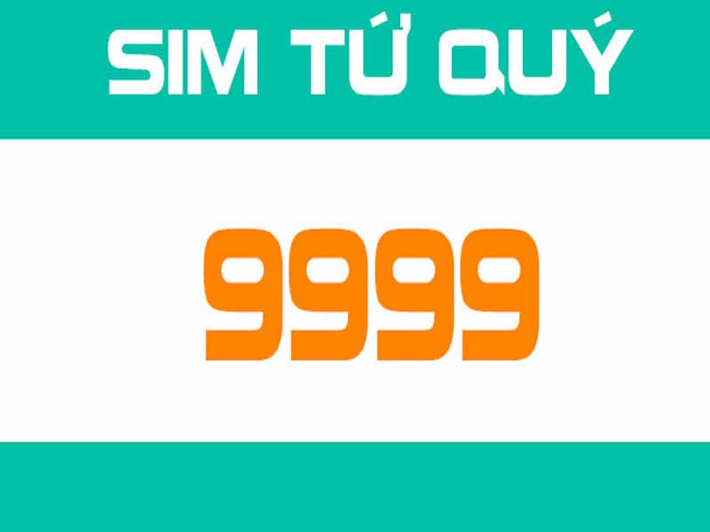 Sim tứ quý 9 có ý nghĩa gì vô cùng đẹp trong đời sống