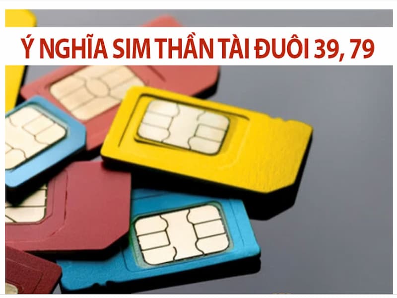 Sim đuôi 3979 vị thần mang đến nhiều tài lộc cho chủ sở hữu nó